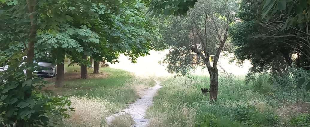 Degrado al Parco dei Rimbocchi a Perugia: erbacce e immondizia, “sette mesi fa abbiamo scritto al Comune ma non ha fatto niente” Degrado al Parco dei Rimbocchi a Perugia: erbacce e immondizia, “sette mesi fa abbiamo scritto al Comune ma non ha fatto niente”