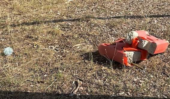Parchi pubblici sotto assedio: sporco e inciviltà, una sfida per le nostre città Parchi pubblici sotto assedio: sporco e inciviltà, una sfida per le nostre città