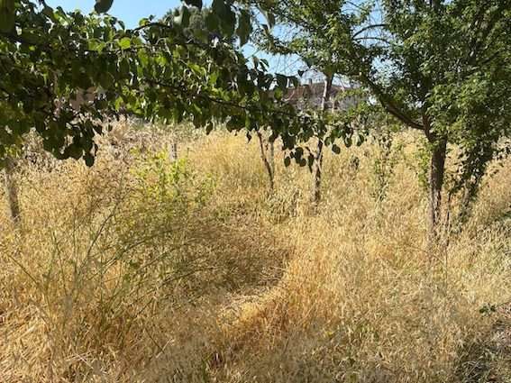 Prendersi cura degli spazi urbani: una proposta per Perugia