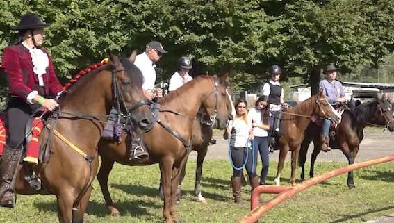 La 55esima edizione della Mostra Nazionale del Cavallo è andata in archivio all’insegna di antiche tradizioni equestri [video]