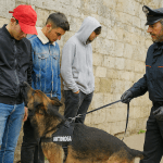 Città di Castello, scuole pulite: quel cane antidroga è una garanzia