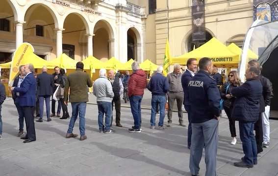 Tutti pazzi per la ‘trifola’: Città di Castello, capitale del tartufo bianco [video]
