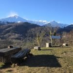 Arriva la primavera al parco della Burcina Arriva la primavera al parco della Burcina