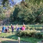 Podere Canova, si cercano nuovi fondi per il progetto di coesione sociale sui colli bolognesi