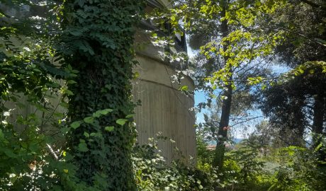 Serpente nel giardino del nido a Montefalco, è scontro politico, l’opposizione: “Bambini chiusi dentro e senza aria condizionata”